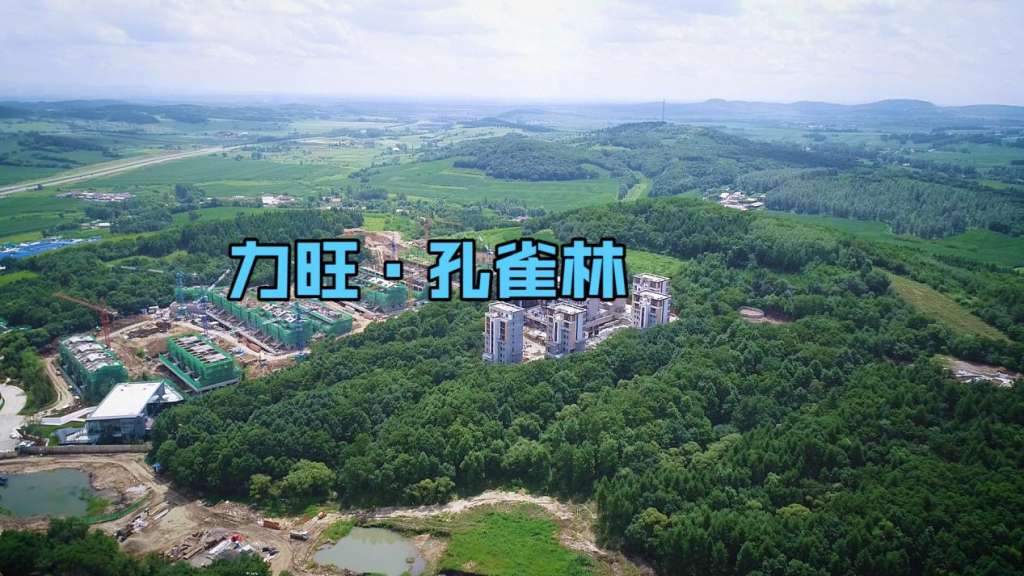力旺孔雀林三面环山一面临水建面255平溪谷合院收藏一座山
