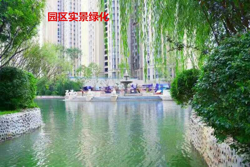 http://fl2.gtimg.com/flpartition0/8048/2001468048/662/1891230326064400991642338531819.jpg