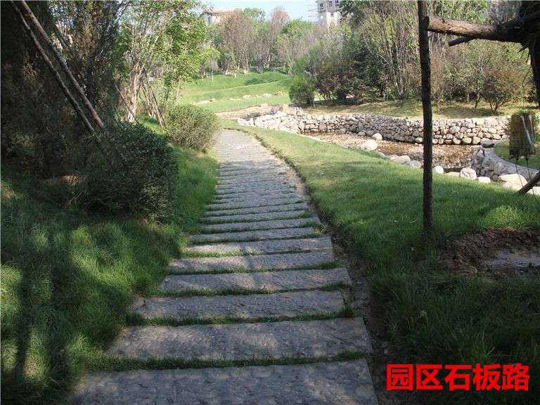 http://fl2.gtimg.com/flpartition0/7088/631007088/353/8161143300957824319450322064224.jpg