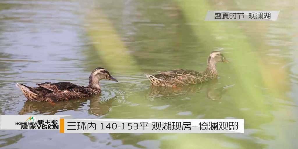 倚澜观邸 5分7.31_20170803151339