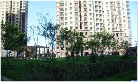 http://fl2.gtimg.com/flpartition0/8048/2001468048/165/1608981389963118300243441594152.png